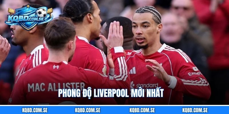 Phong độ Liverpool mới nhất